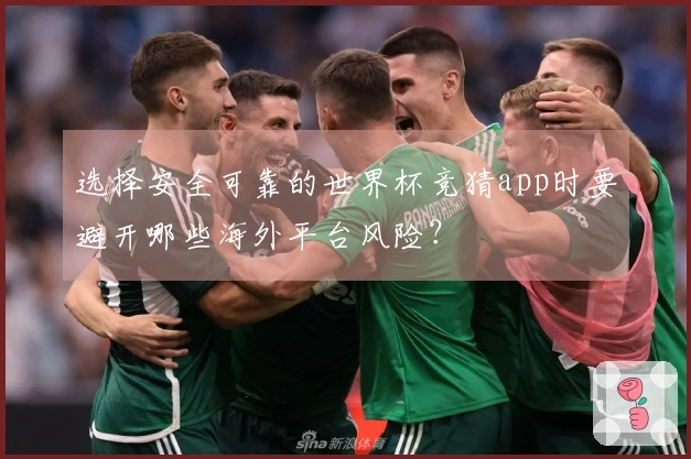 选择安全可靠的世界杯竞猜app时要避开哪些海外平台风险？