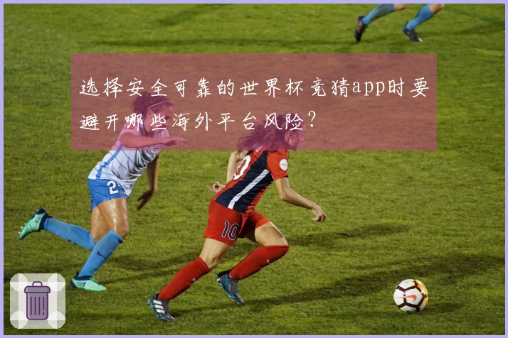 选择安全可靠的世界杯竞猜app时要避开哪些海外平台风险？