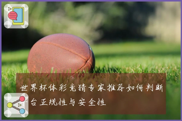世界杯体彩竞猜专家推荐如何判断平台正规性与安全性