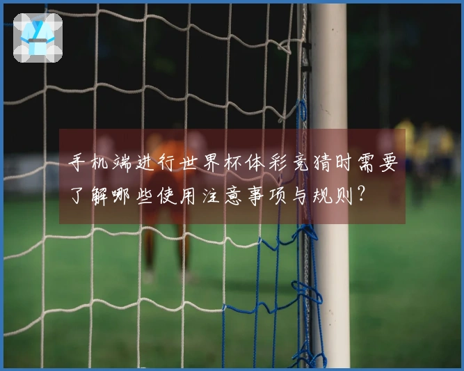 手机端进行世界杯体彩竞猜时需要了解哪些使用注意事项与规则？